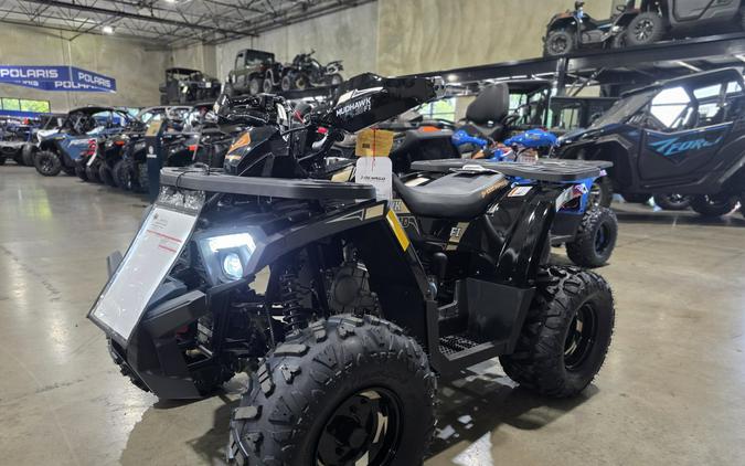 2026 Denago Powersports Mudhawk 10FI