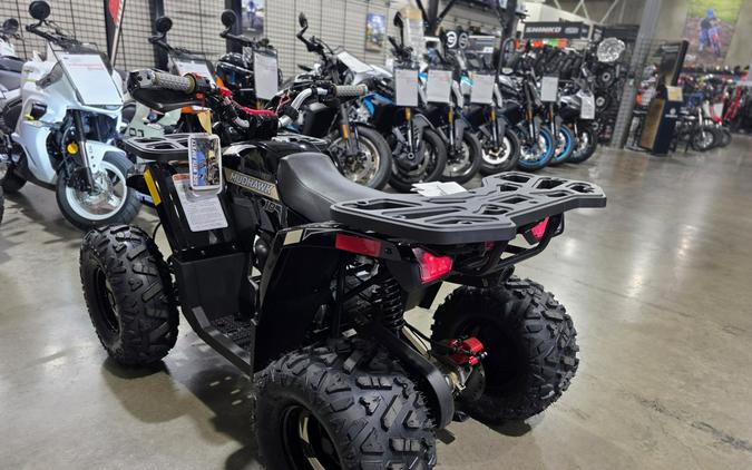 2026 Denago Powersports Mudhawk 10FI