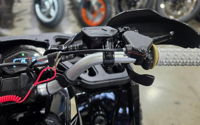 2026 Denago Powersports Mudhawk 10FI