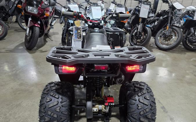 2026 Denago Powersports Mudhawk 10FI