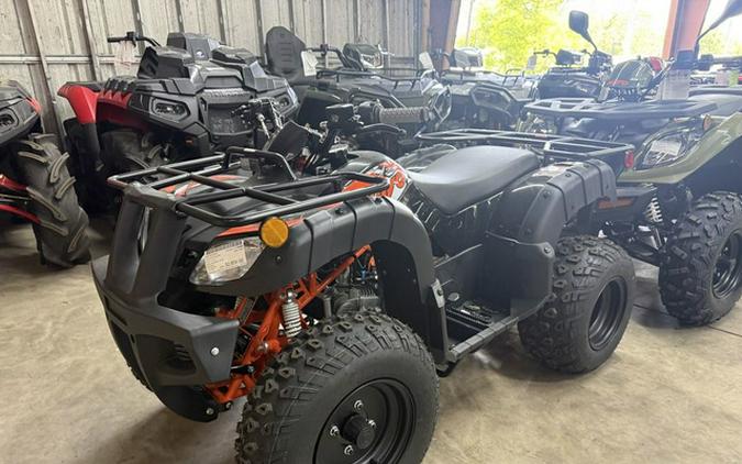 2026 Kayo Bull 150 EFI