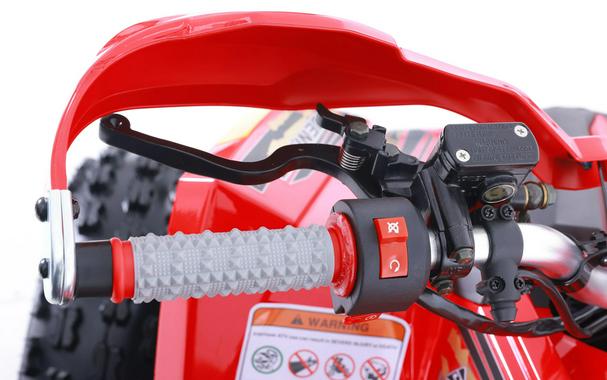 2026 Denago Powersports Trailhawk 10FI