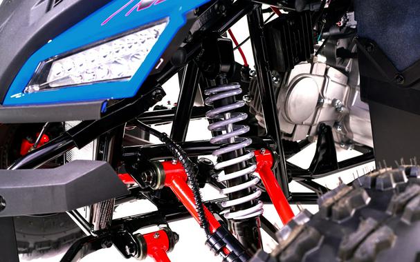 2026 Denago Powersports Trailhawk 10FI