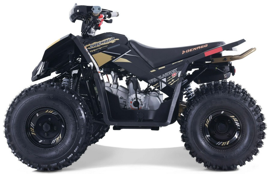 2026 Denago Powersports Trailhawk 10FI