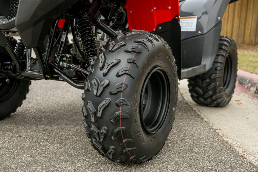 2025 YAMAHA GRIZZLY 110