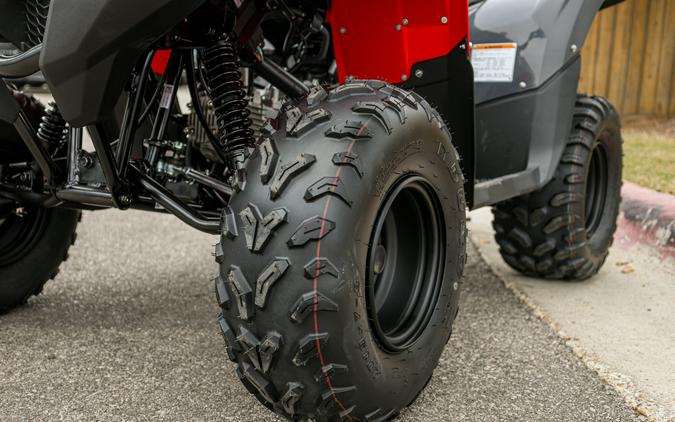 2025 YAMAHA GRIZZLY 110