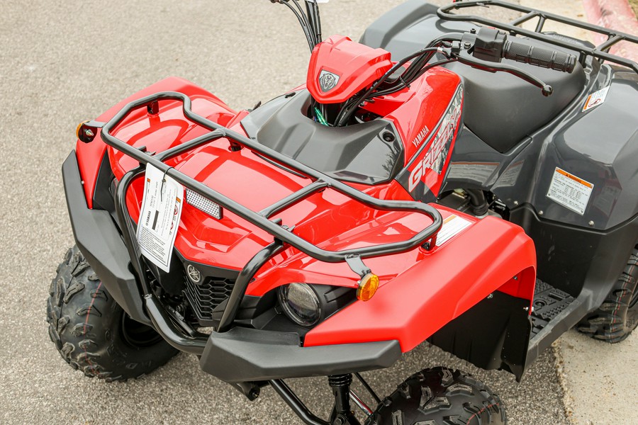 2025 YAMAHA GRIZZLY 110