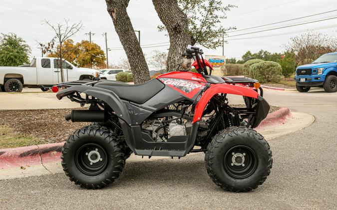 2025 YAMAHA GRIZZLY 110