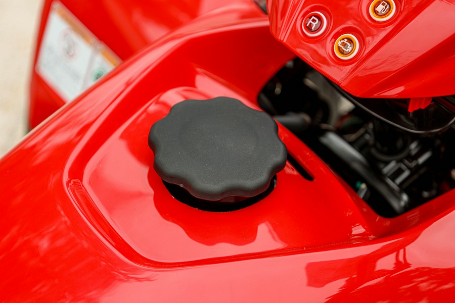 2025 YAMAHA GRIZZLY 110