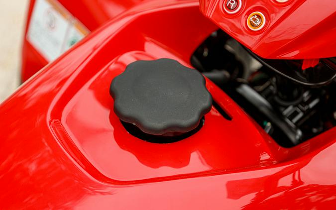 2025 YAMAHA GRIZZLY 110