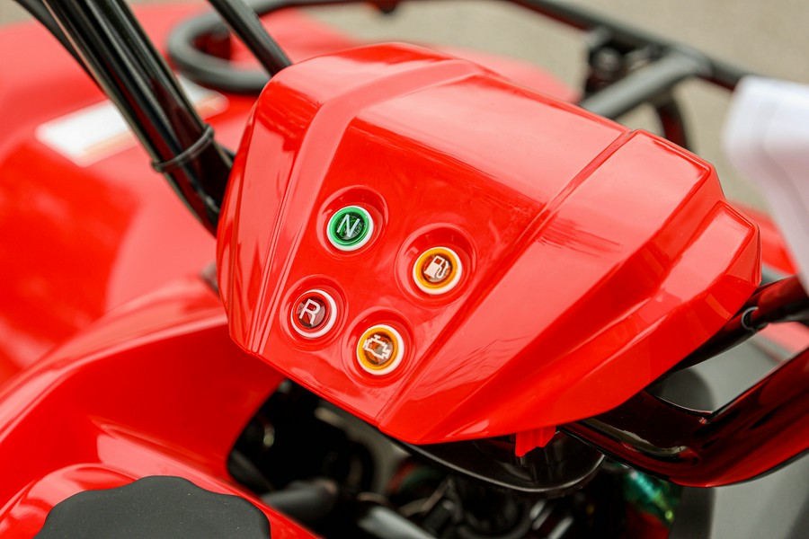 2025 YAMAHA GRIZZLY 110