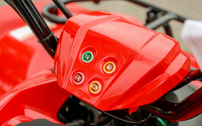 2025 YAMAHA GRIZZLY 110