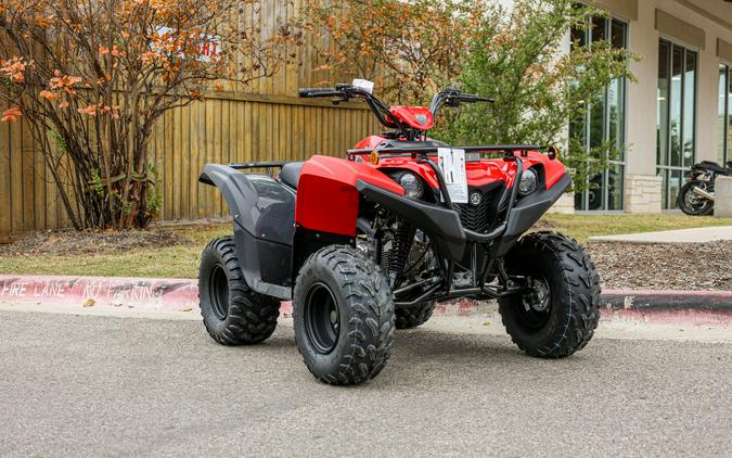 2025 YAMAHA GRIZZLY 110