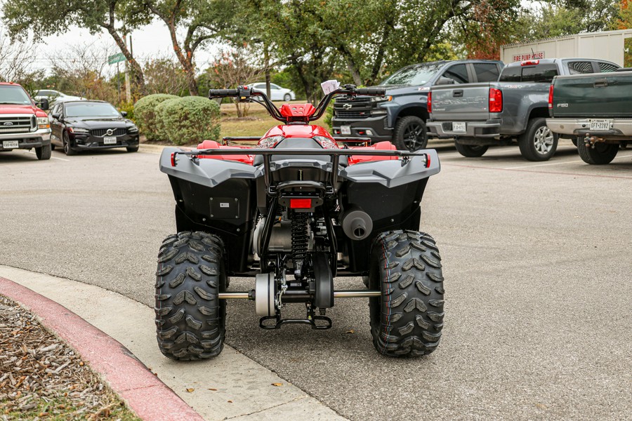 2025 YAMAHA GRIZZLY 110