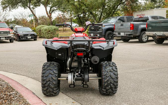 2025 YAMAHA GRIZZLY 110