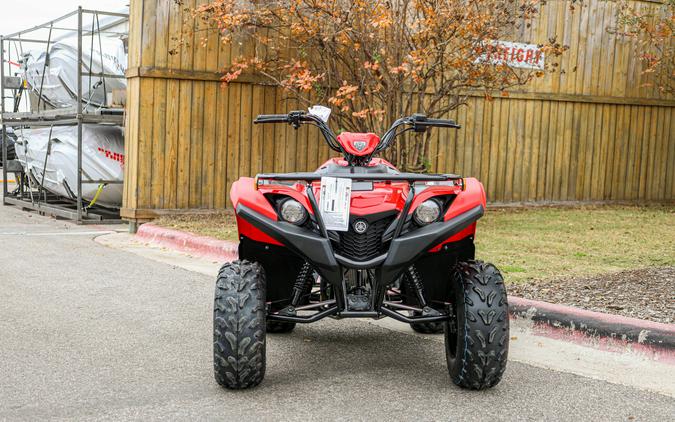2025 YAMAHA GRIZZLY 110