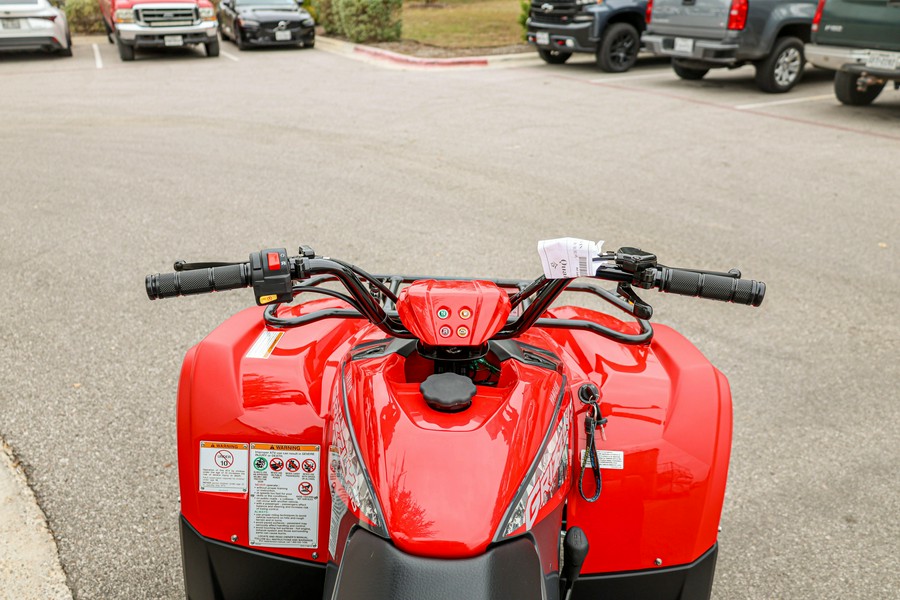 2025 YAMAHA GRIZZLY 110