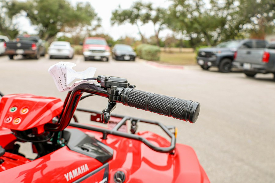 2025 YAMAHA GRIZZLY 110