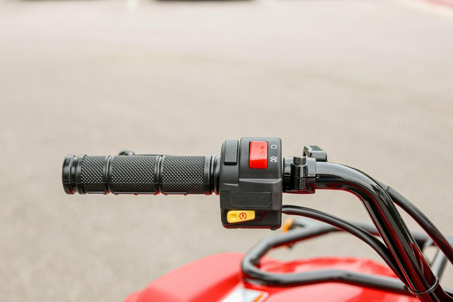 2025 YAMAHA GRIZZLY 110