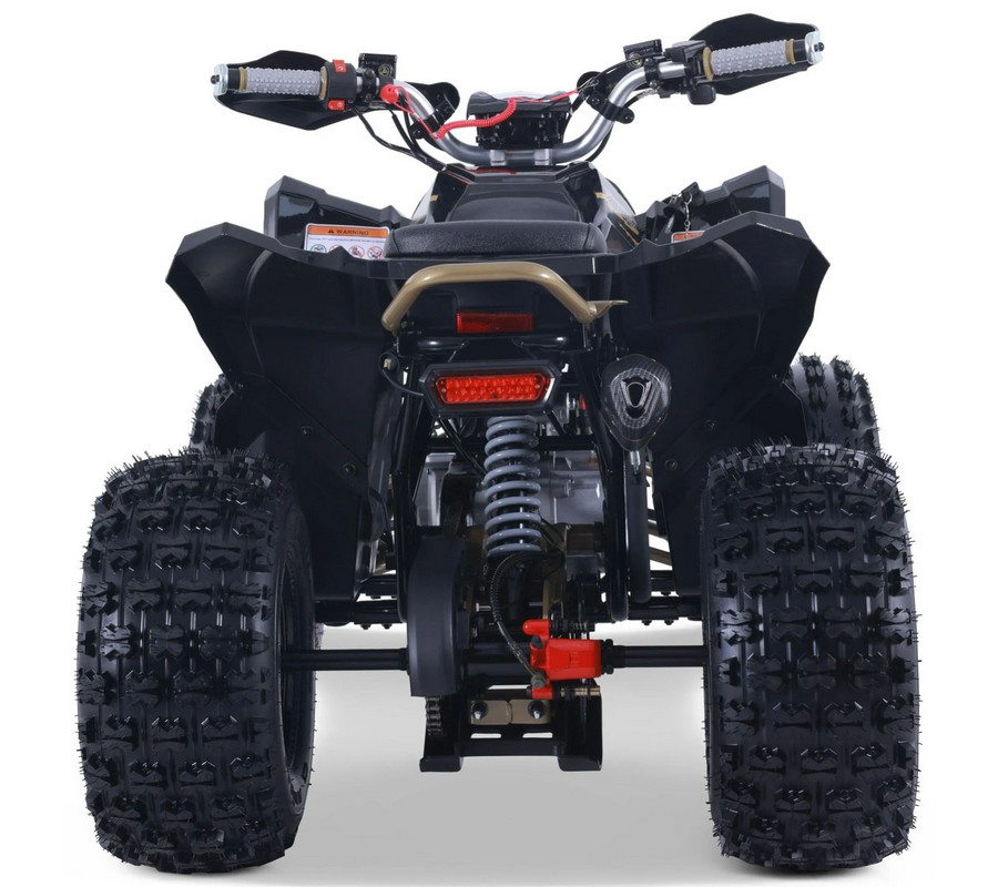 2026 Denago Powersports Trailhawk 10FI