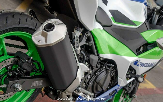 2024 Kawasaki Ninja® 500 SE 40th Anniversary Edition ABS