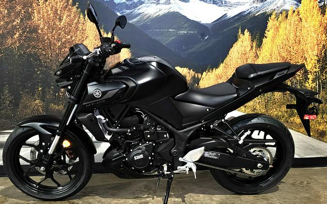 2024 Yamaha MT-03