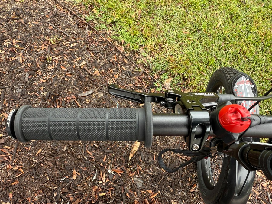 2024 Oset Electric Bikes TXP24 Trials