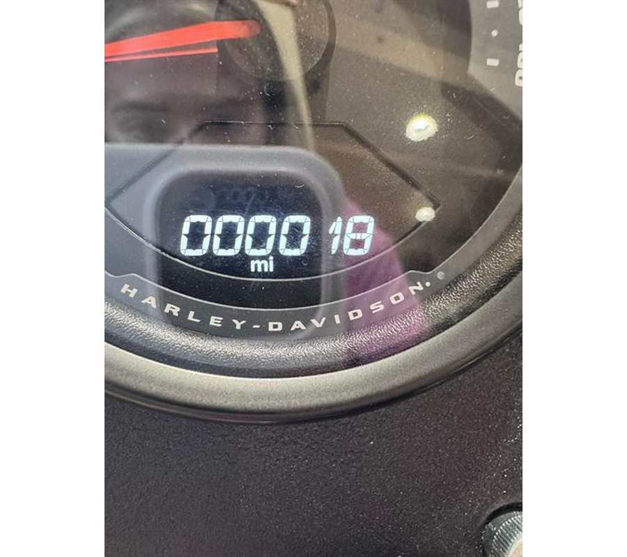 2025 Harley-Davidson Street Bob®