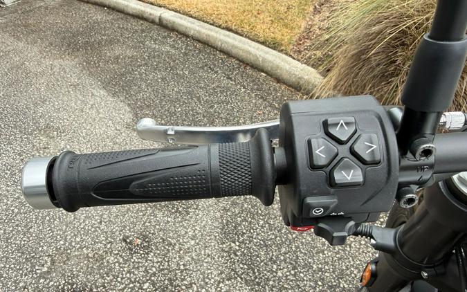 2025 Triumph Speed Twin 900