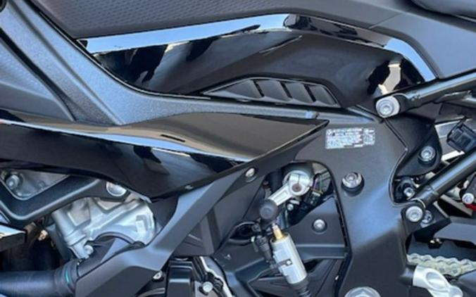 2024 BMW S 1000 RR Black Storm Metallic