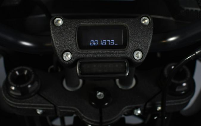 2023 Harley-Davidson Low Rider ST