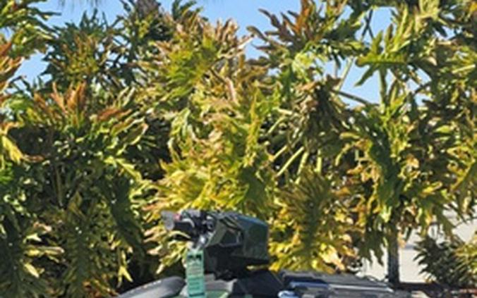 2026 Kawasaki Brute Force 750 SE EPS