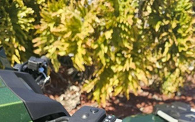 2026 Kawasaki Brute Force 750 SE EPS