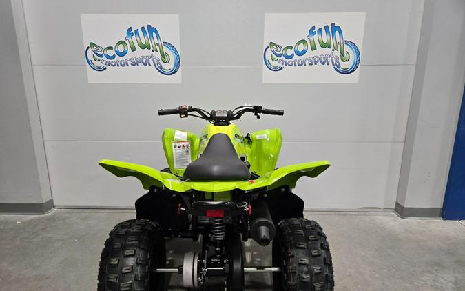 2026 Yamaha Motor Corp., USA Raptor 110