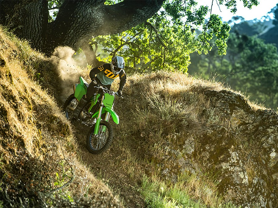 2025 Kawasaki KLX® 300R