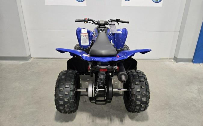 2026 Yamaha Motor Corp., USA Raptor 110