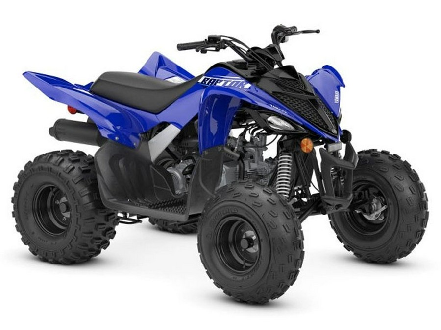 2026 Yamaha Motor Corp., USA Raptor 110