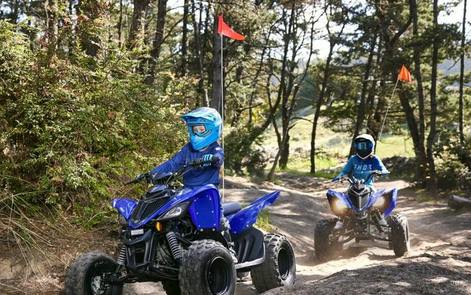 2026 Yamaha Motor Corp., USA Raptor 110