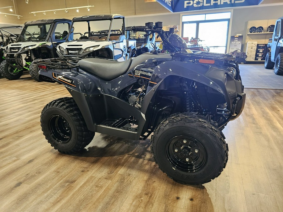 2025 Kawasaki Brute Force® 300