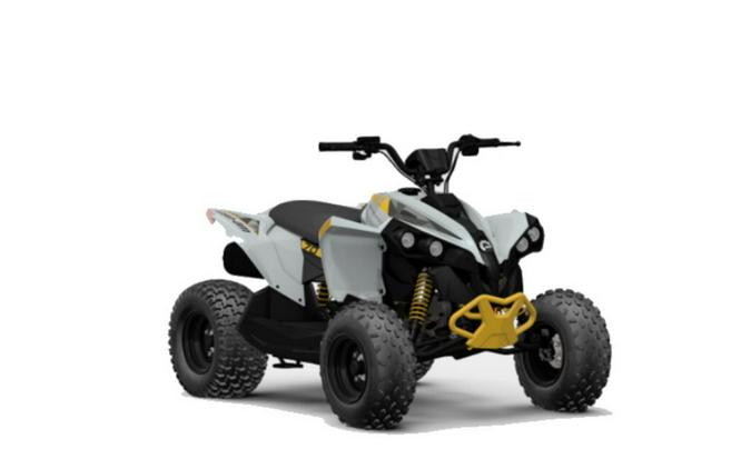 2024 Can-Am® Renegade 70 EFI