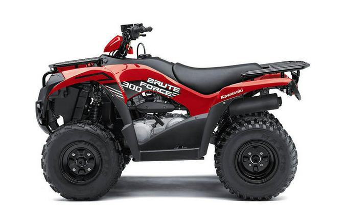 2024 Kawasaki Brute Force® 300