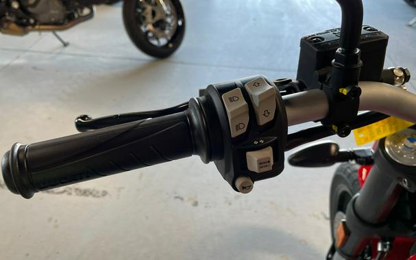 2025 Ducati Scrambler® Icon - DEMO