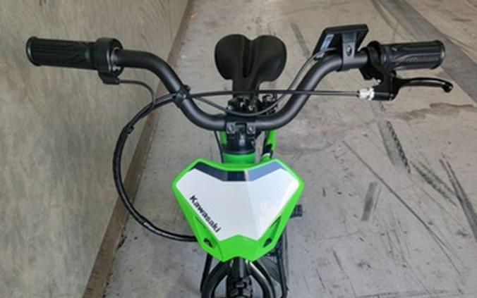 2024 Kawasaki Elektrode