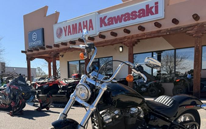 2022 Harley-Davidson Softail Standard