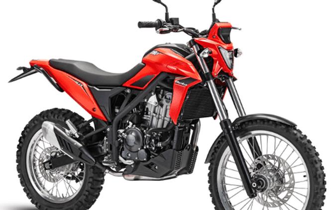 2026 Beta Alp 4.0