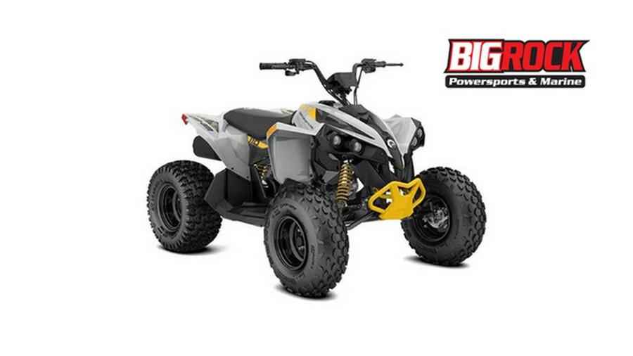 2026 Can-AM RENEGADE 110 EFI