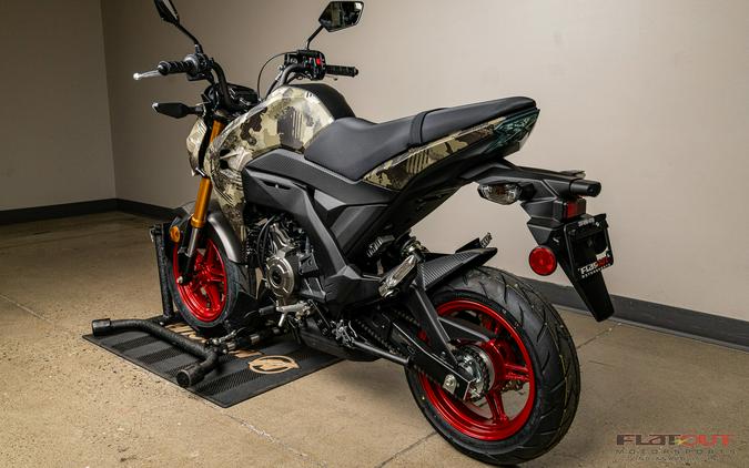 2025 Kawasaki Z125 PRO