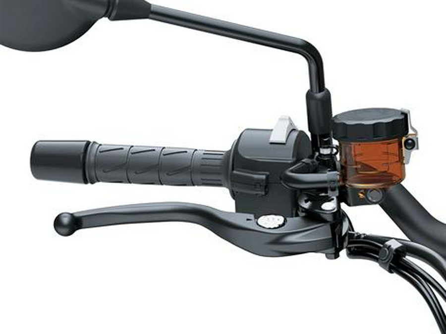 2026 Kawasaki Z900RS ABS