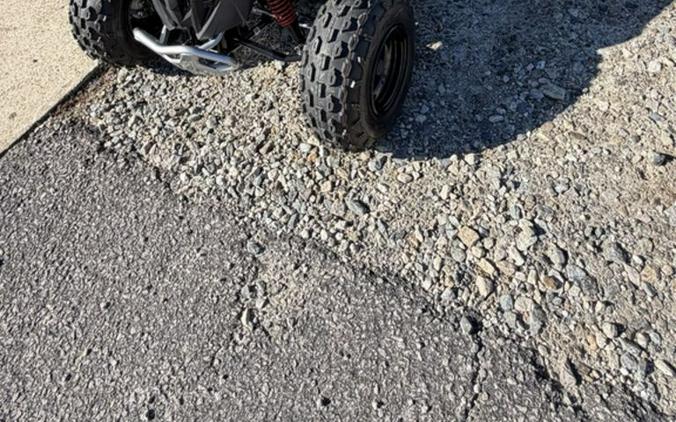2026 Can-Am Renegade 70 EFI