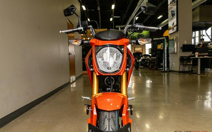 2025 Kawasaki Z125 PRO